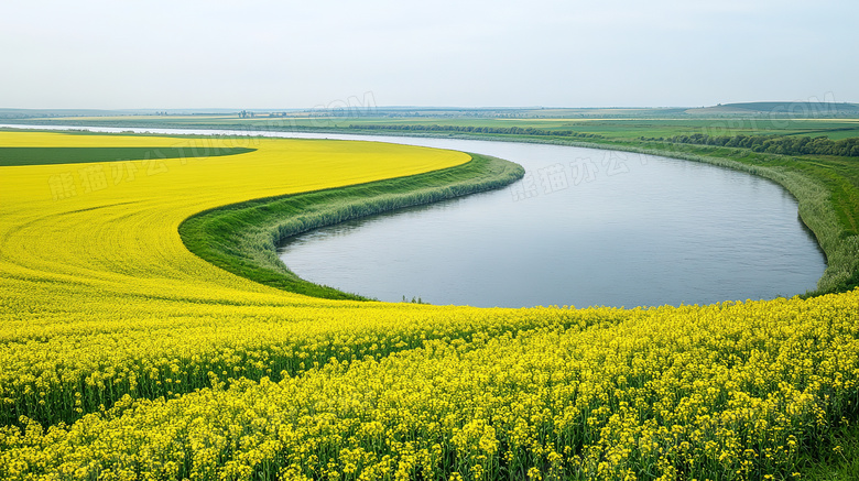 田园风光油菜花田风景图片