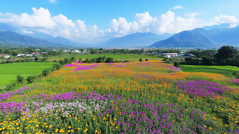 田野风景自然风光图片
