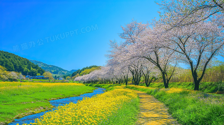 田野风景自然风光图片