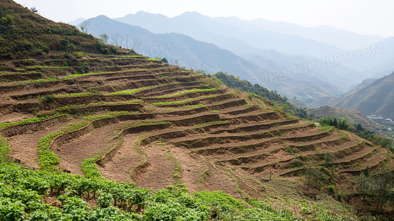 美丽的田园风光自然风景图片