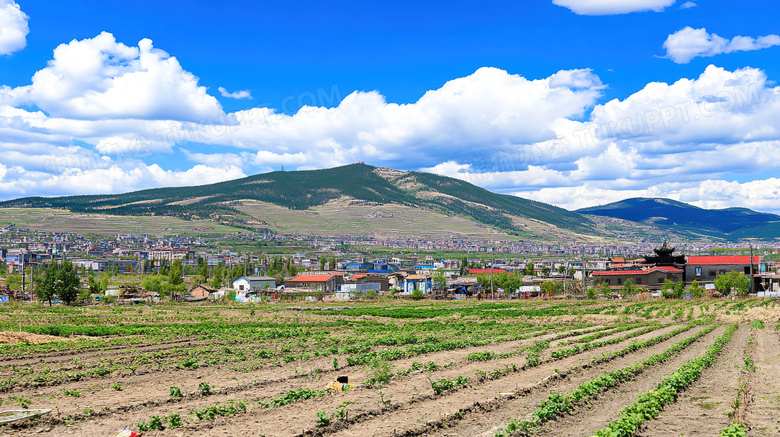 美丽的田野风景自然风光图片