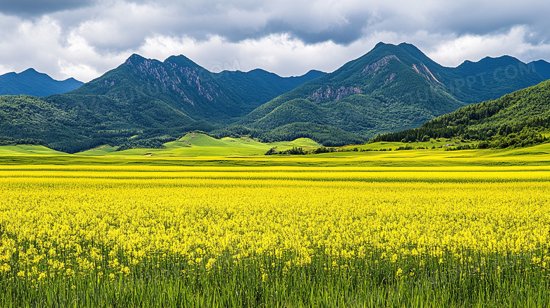 美丽的田野风景自然风光图片