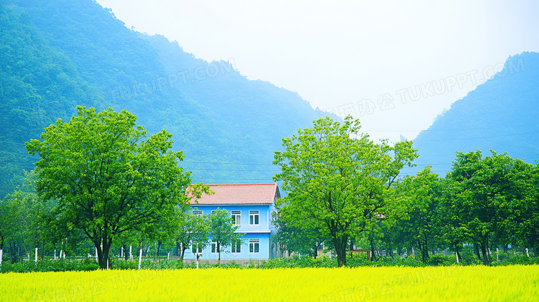 美丽的田野风景自然风光图片