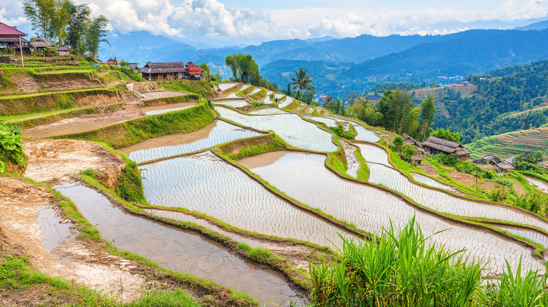 美丽的田野风景自然风光图片