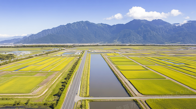 美丽的田野风景自然风光图片