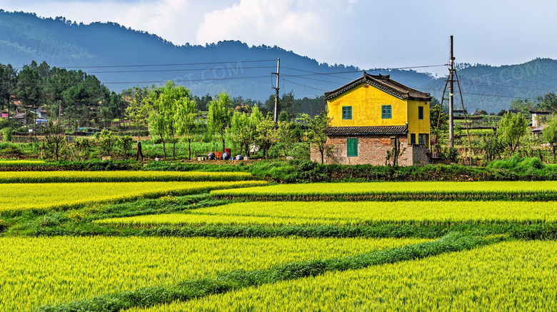 美丽的田野风景自然风光图片