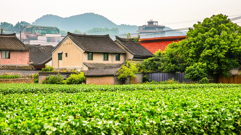 美丽的田野风景自然风光图片