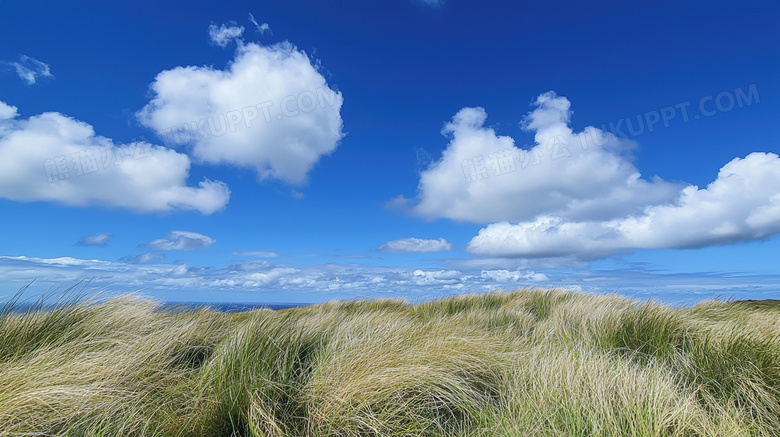 绿色蓝天白云草地风景图片