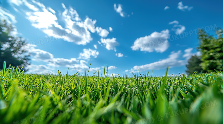 绿色蓝天白云草地风景图片