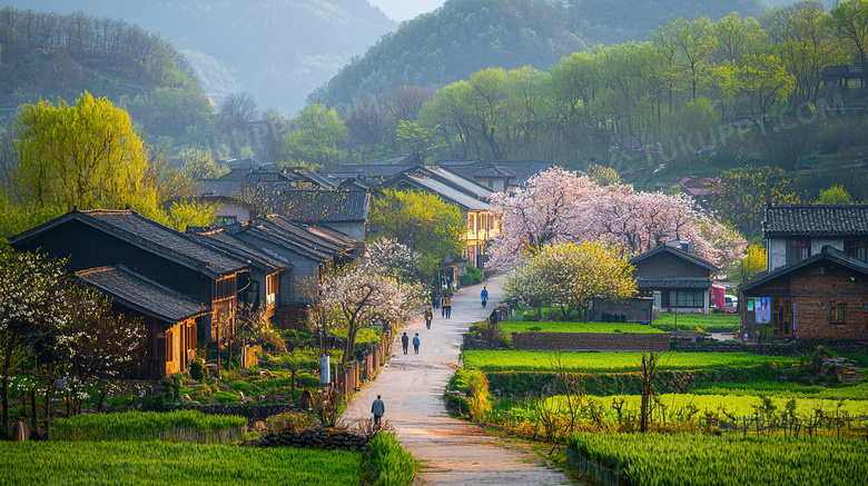 绿色生机勃勃的村庄风景图片