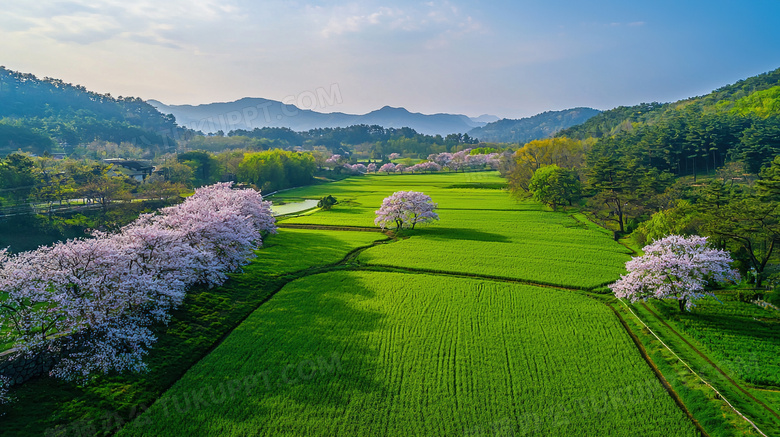 绿色田野自然风景图片