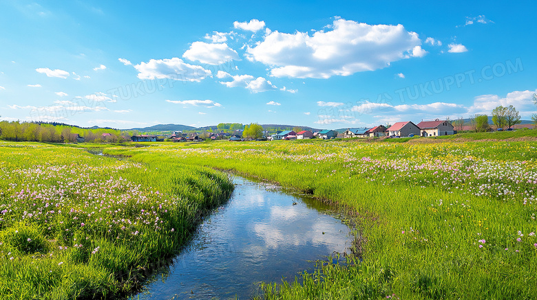 春天草原里野花开放图片