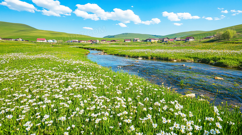 春天草原里野花开放图片