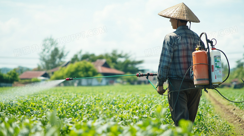 一个农夫正在给作物喷洒农药图片