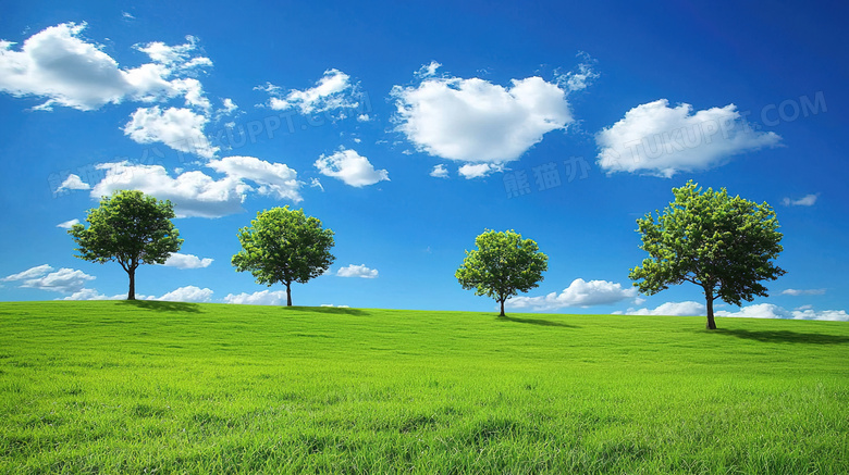 绿色草地上的大树自然风景图片