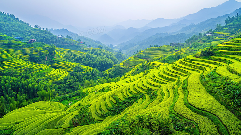 绿色丘陵起伏自然风景图片