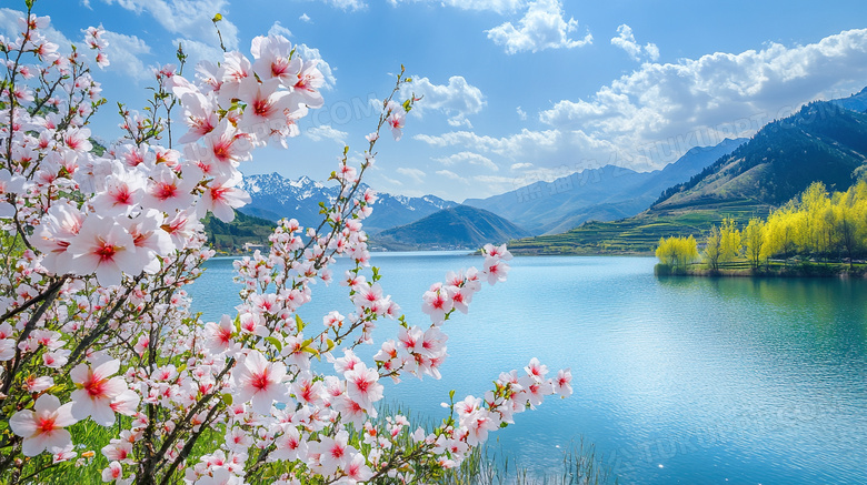 桃花湖边春天风景大自然图片