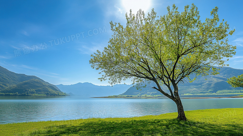 湖边草地春天风景大自然图片