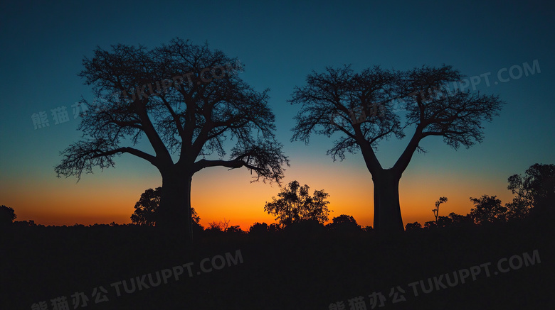 森林夕阳剪影唯美风景图片