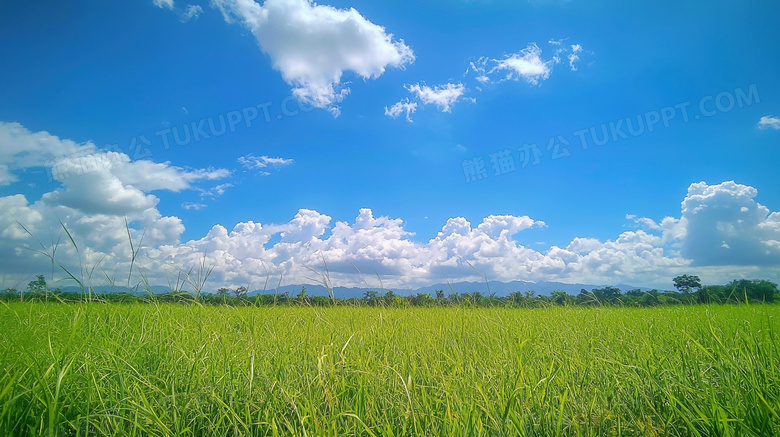 晴朗蔚蓝天空草地风景唯美图片