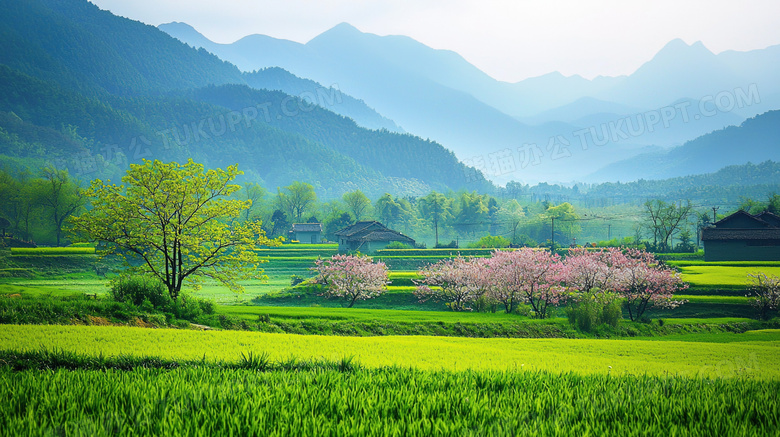 蔚蓝天空绿色乡村草地风景图片