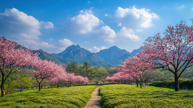 蔚蓝天空绿色乡村草地风景图片