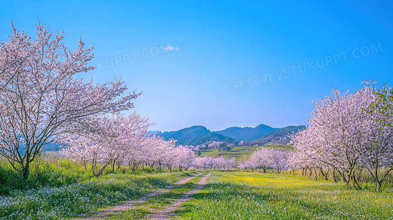 乡村草地唯美风景大自然图片