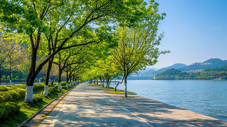 绿树成荫的公园道路风景图片