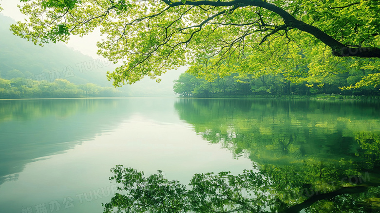 唯美大自然山水树木风景图片