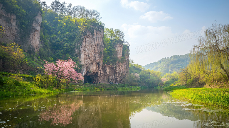 春天大自然田野盛开粉色花树风景图片