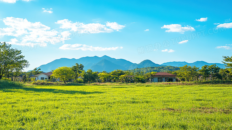 郊区房屋村落草地图片