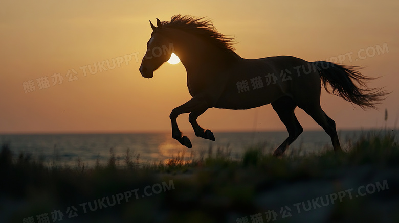 夕阳下草原上奔跑的马剪影图片