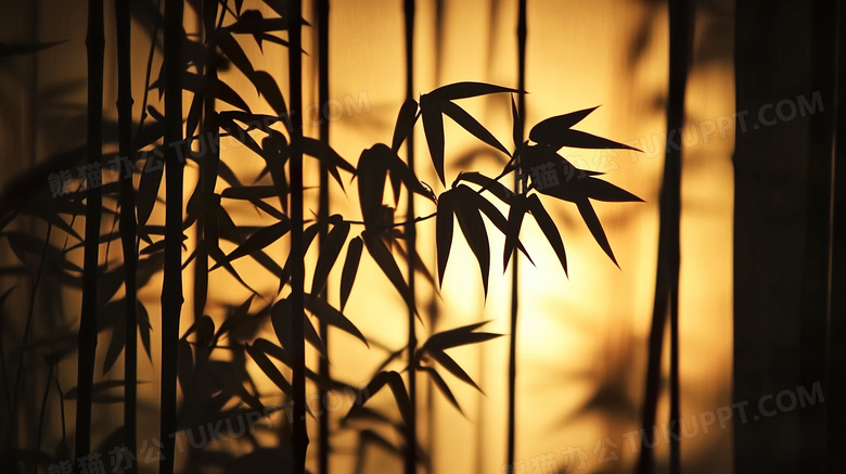 夕阳下山林竹林剪影图片