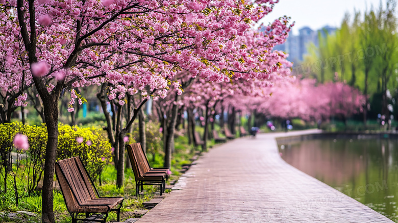 春天的公园风景图片