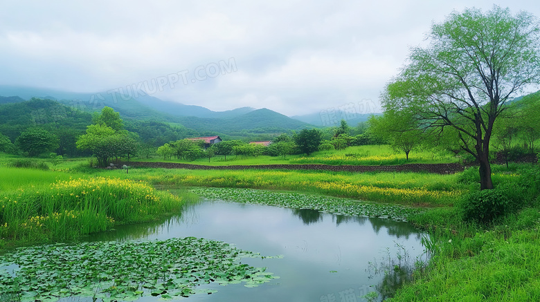 春天的湖畔景色图片