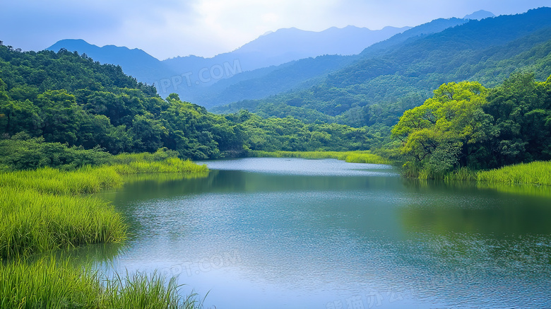 春天的湖畔景色图片