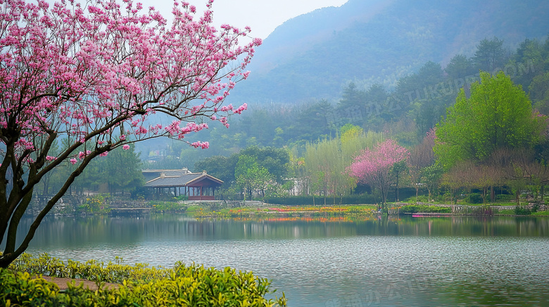 春天的湖畔景色图片