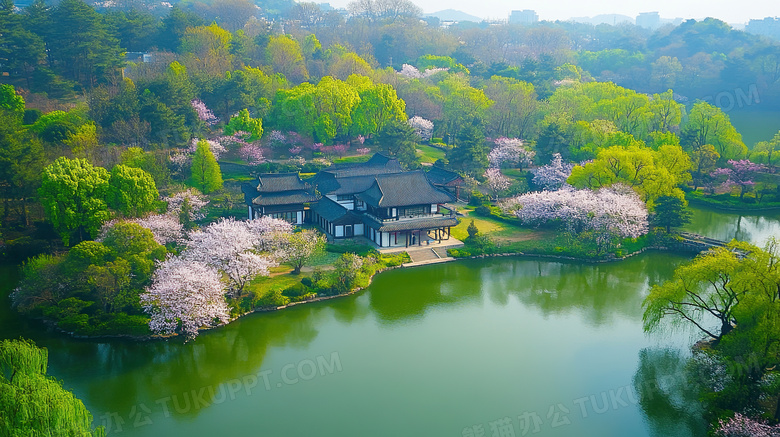 春天的湖畔景色图片