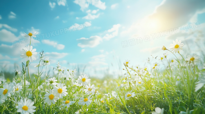 春暖花开春天自然风景图片