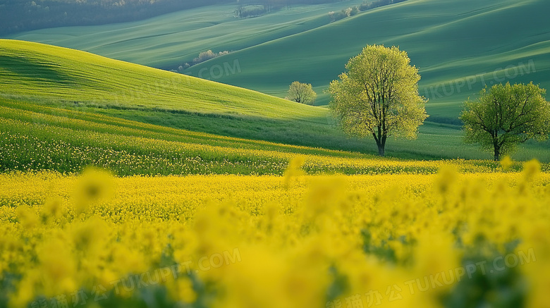 春暖花开春天自然风景图片