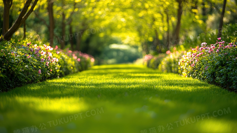 春暖花开自然风景图片