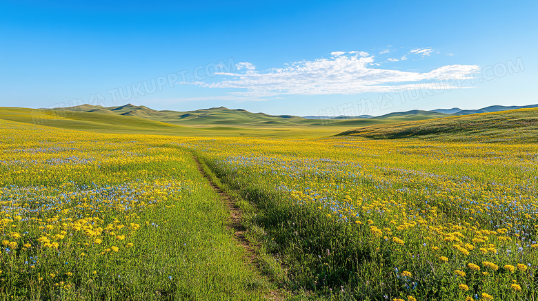 春暖花开自然风景图片