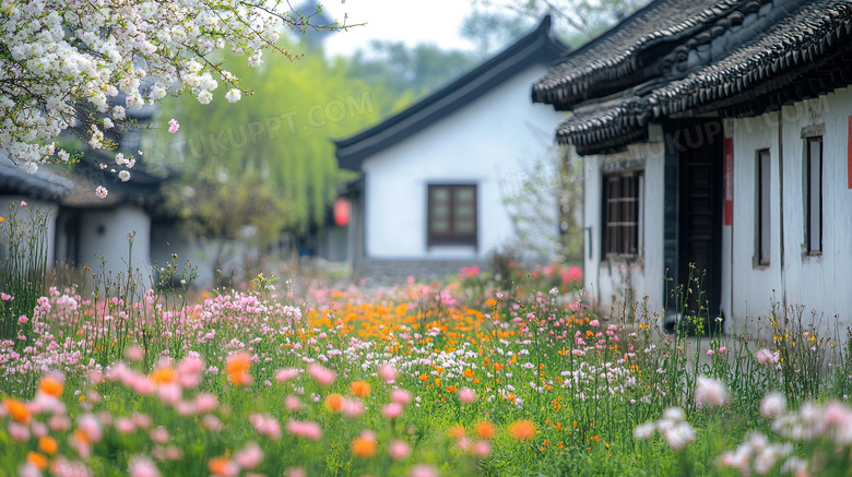 乌镇春日花海与民居图片