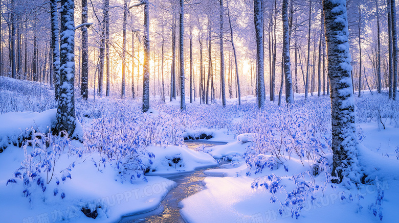 芬兰森林雪景图片