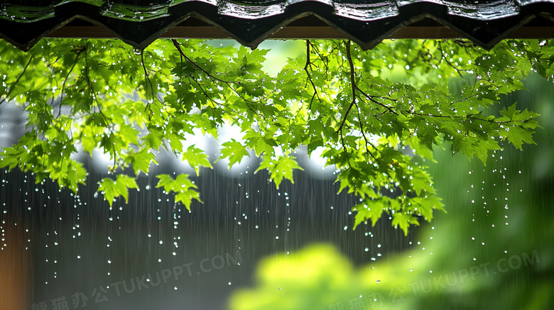 春天雨季春景屋檐下嫩绿叶子图片