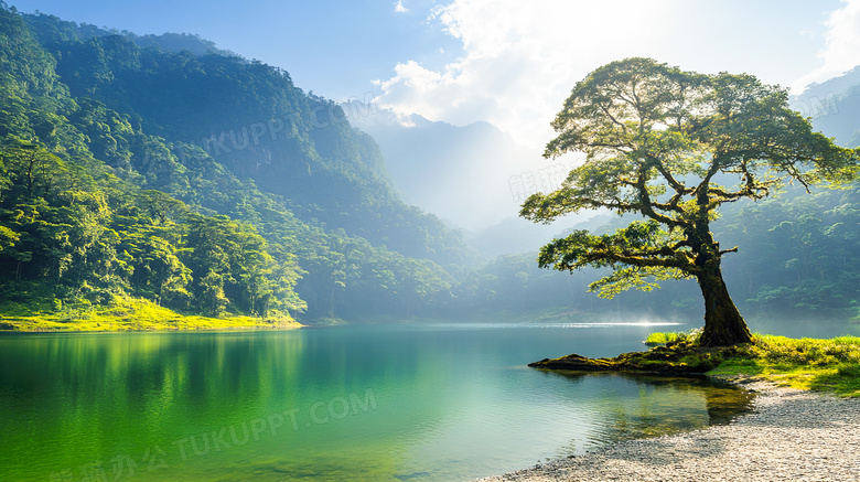 春天柳树湖边美丽的春景景色图片