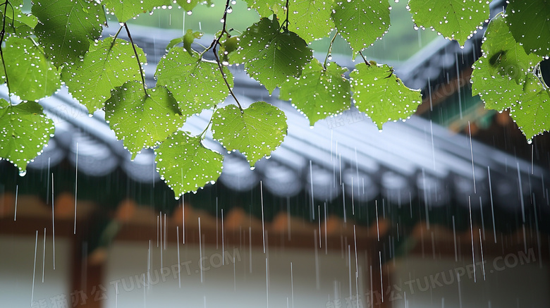 春季雨中的建筑屋檐图片