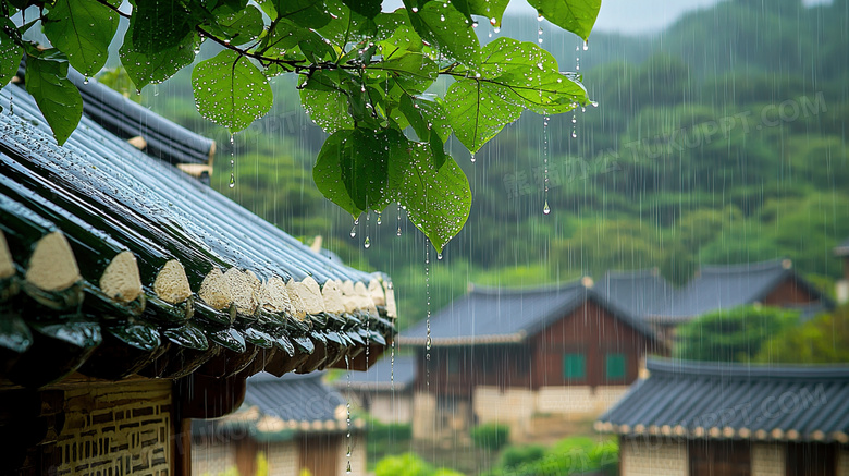 春季雨中的建筑屋檐图片