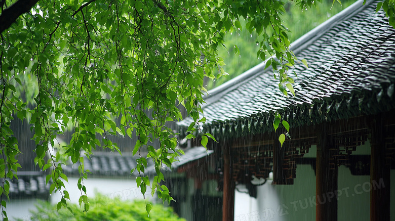 春季雨中的建筑屋檐图片