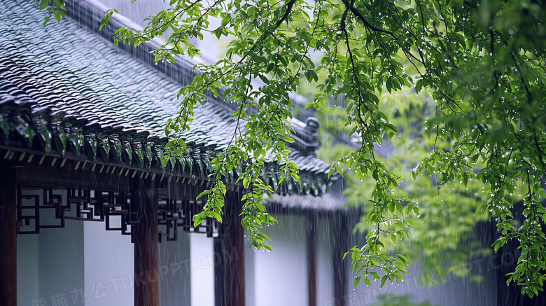 春季雨中的建筑屋檐图片